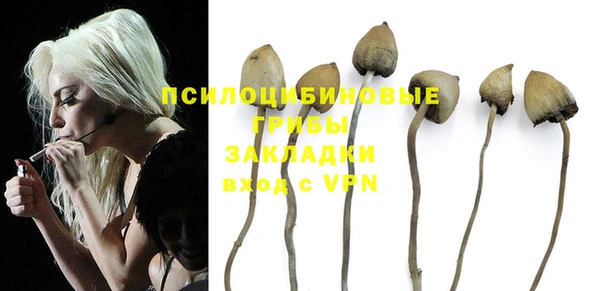 PSILOCYBIN Балахна