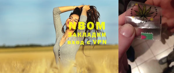 PSILOCYBIN Балахна