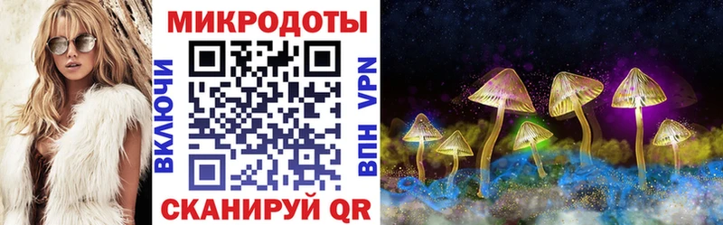 Псилоцибиновые грибы Magic Shrooms  Купить  Чебаркуль 